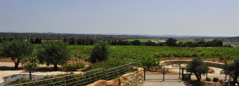 Luxury Estate with Vineyards - Location